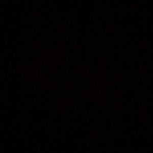 Meet your Posher, Gigi